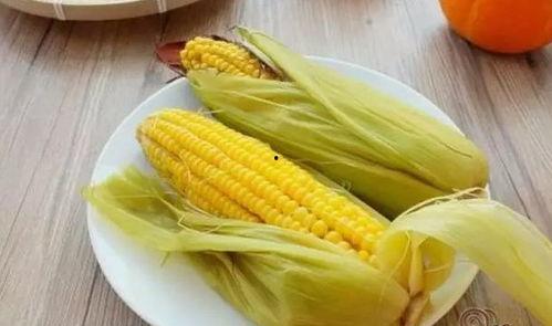 娱乐吃瓜酱玉米